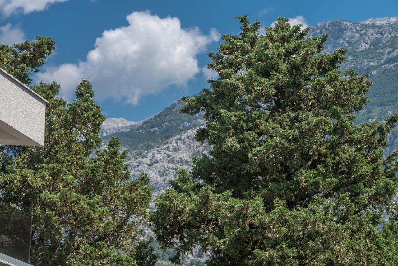 East Side Deluxe Suite Μακάρσκα Εξωτερικό φωτογραφία